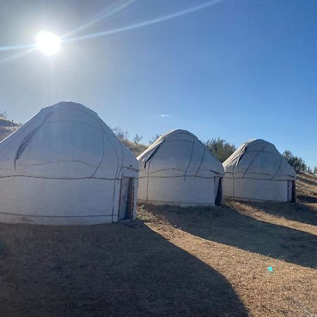 Authentic Uzbek Yurt Camp Eco-Friendly Hotell Nurota Exteriör bild