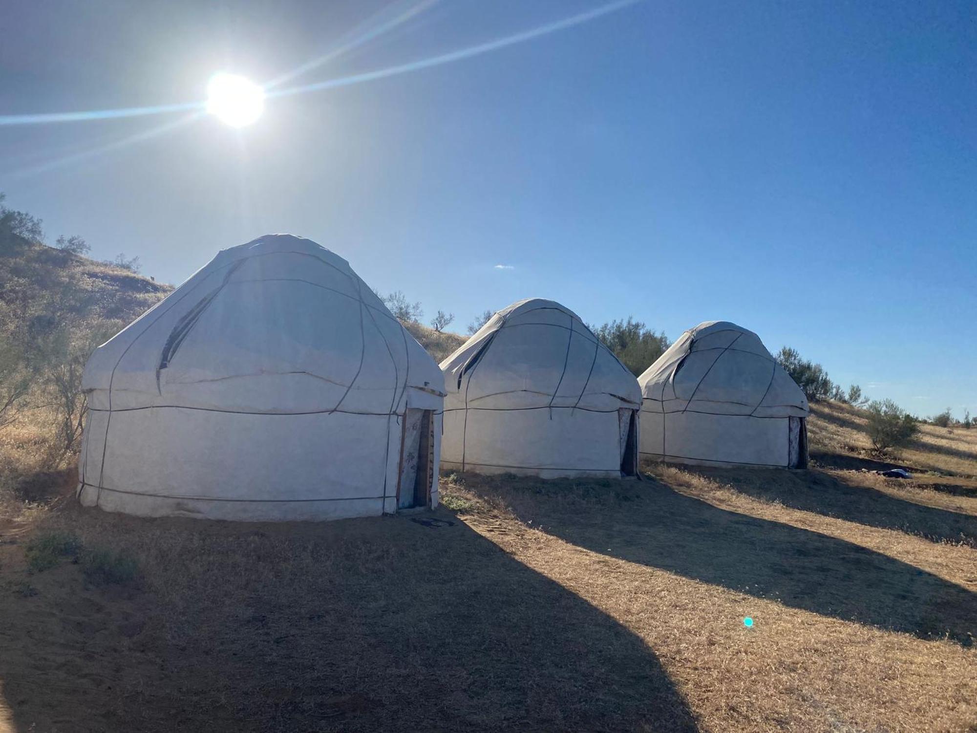 Authentic Uzbek Yurt Camp Eco-Friendly Hotell Nurota Exteriör bild