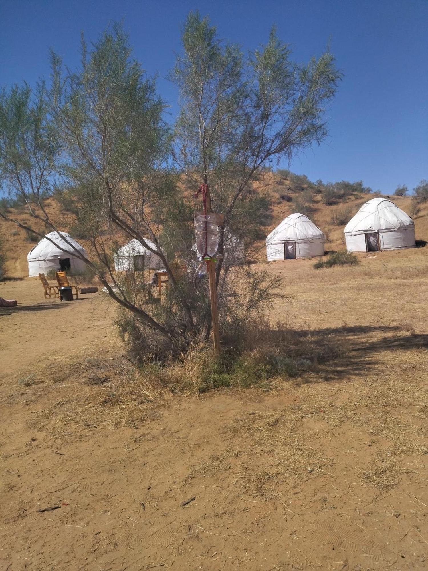 Authentic Uzbek Yurt Camp Eco-Friendly Hotell Nurota Exteriör bild